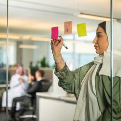 MBSC Strategic Reframing Program
